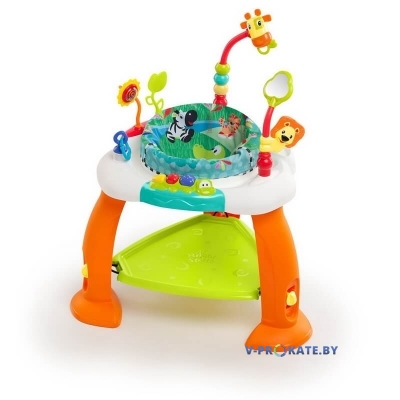 Прыгунки Bright Starts Bounce