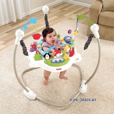 Прыгунки Fisher Price «Новые открытия»