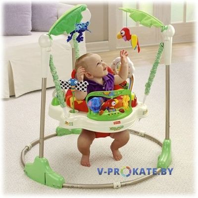 Прыгунки Fisher Price «Тропический лес»