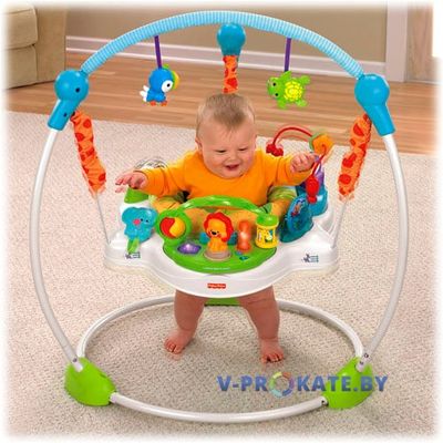 Прыгунки Fisher-Price «Любимая планета»