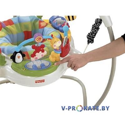 Прыгунки Fisher Price «Новые открытия»