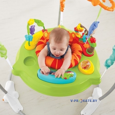 Прыгунки Fisher Price «Шумный лес»