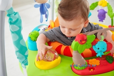 Прыгунки Fisher Price «Шумный лес»