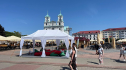 Шатер 6*6 м (36м.кв)