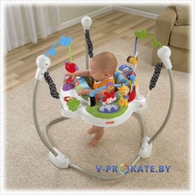 Прыгунки Fisher Price «Новые открытия»